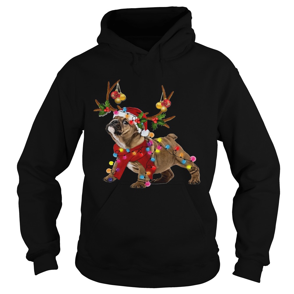 Pug Reindeer Christmas light Hoodie