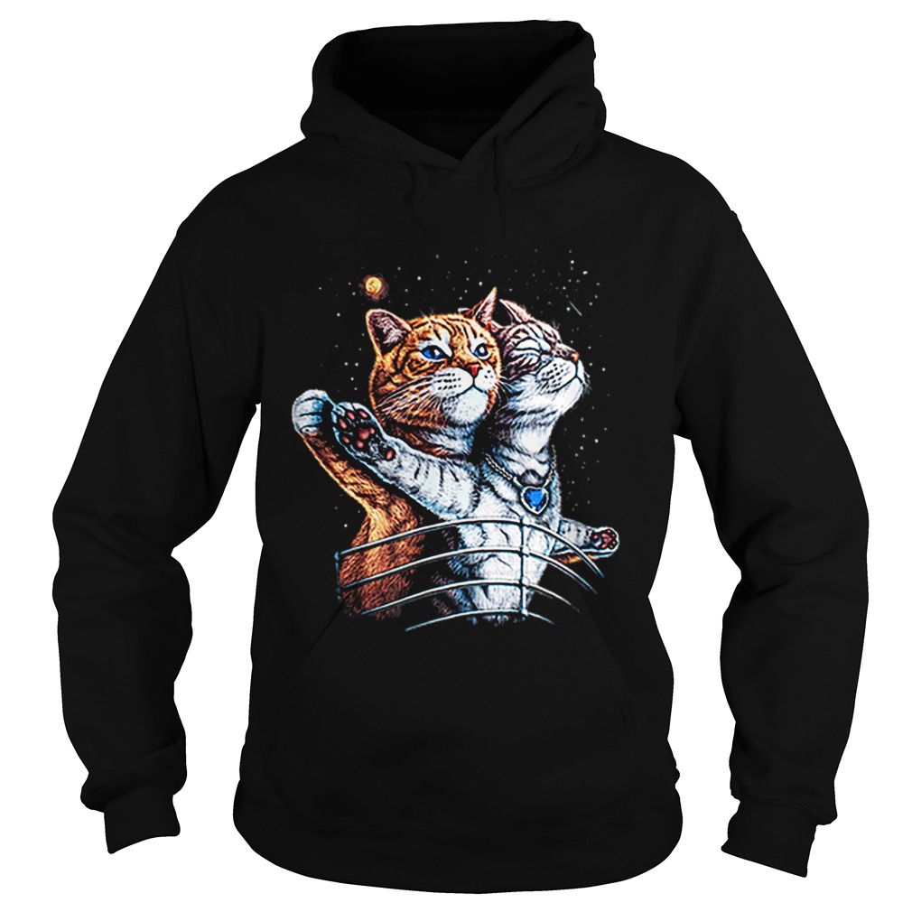 Titanic Cats Funny Cat Lovers Hoodie