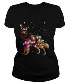 Belgian Tervuren Christmas Lights  Classic Ladies