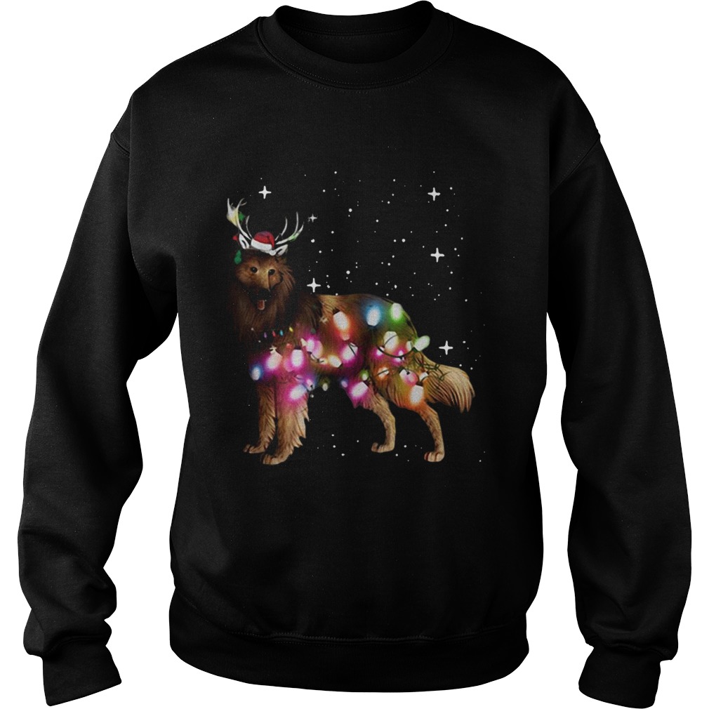 Belgian Tervuren Christmas Lights Sweatshirt