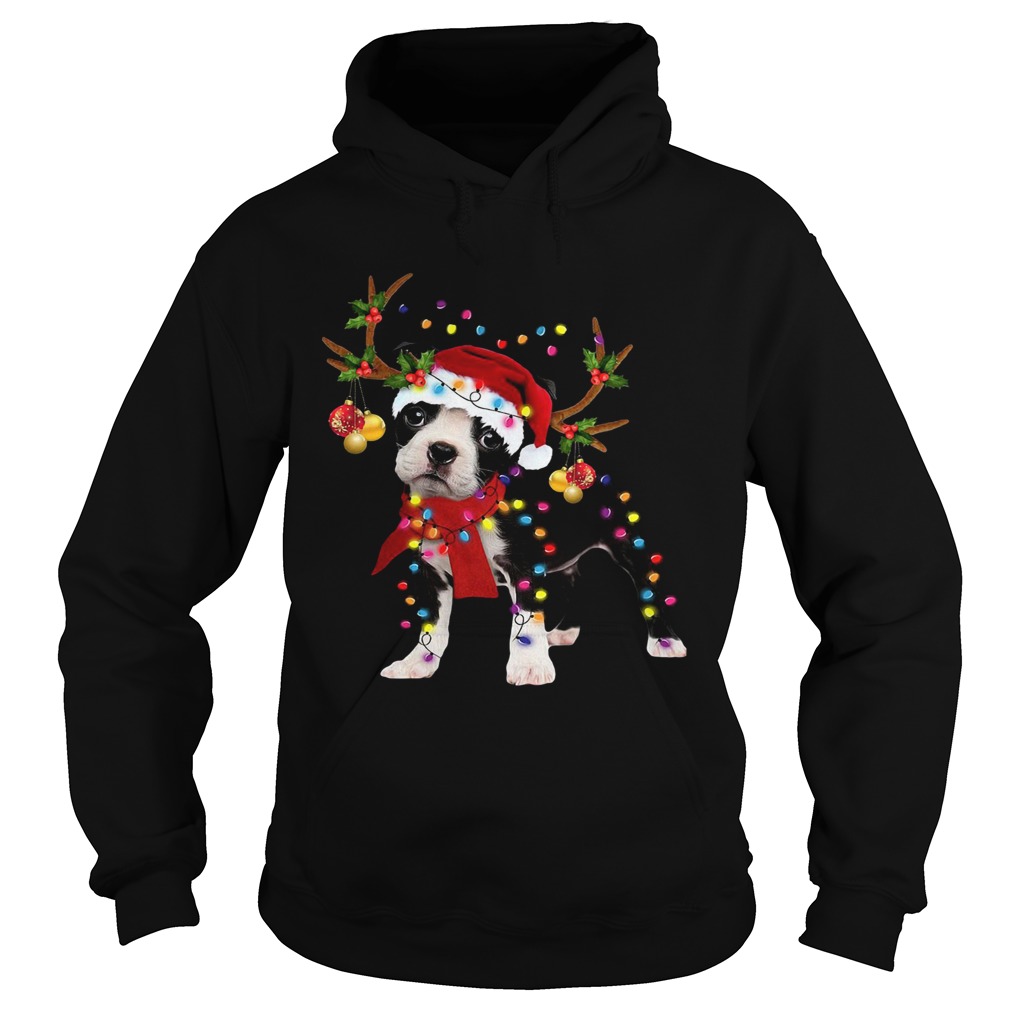 Boston Terrier Gorgeous Reindeer Christmas Hoodie