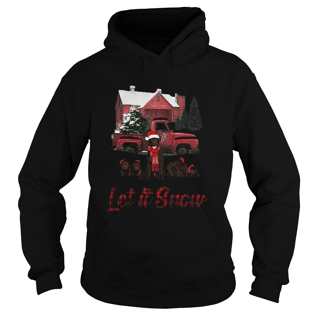 Chocolate Labrador Let It Snow Christmas Hoodie