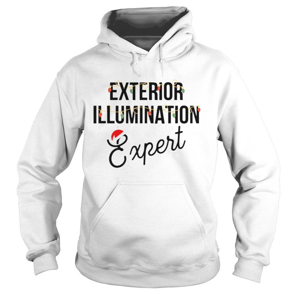 Exterior Illumination Expert Funny Christmas Hoodie