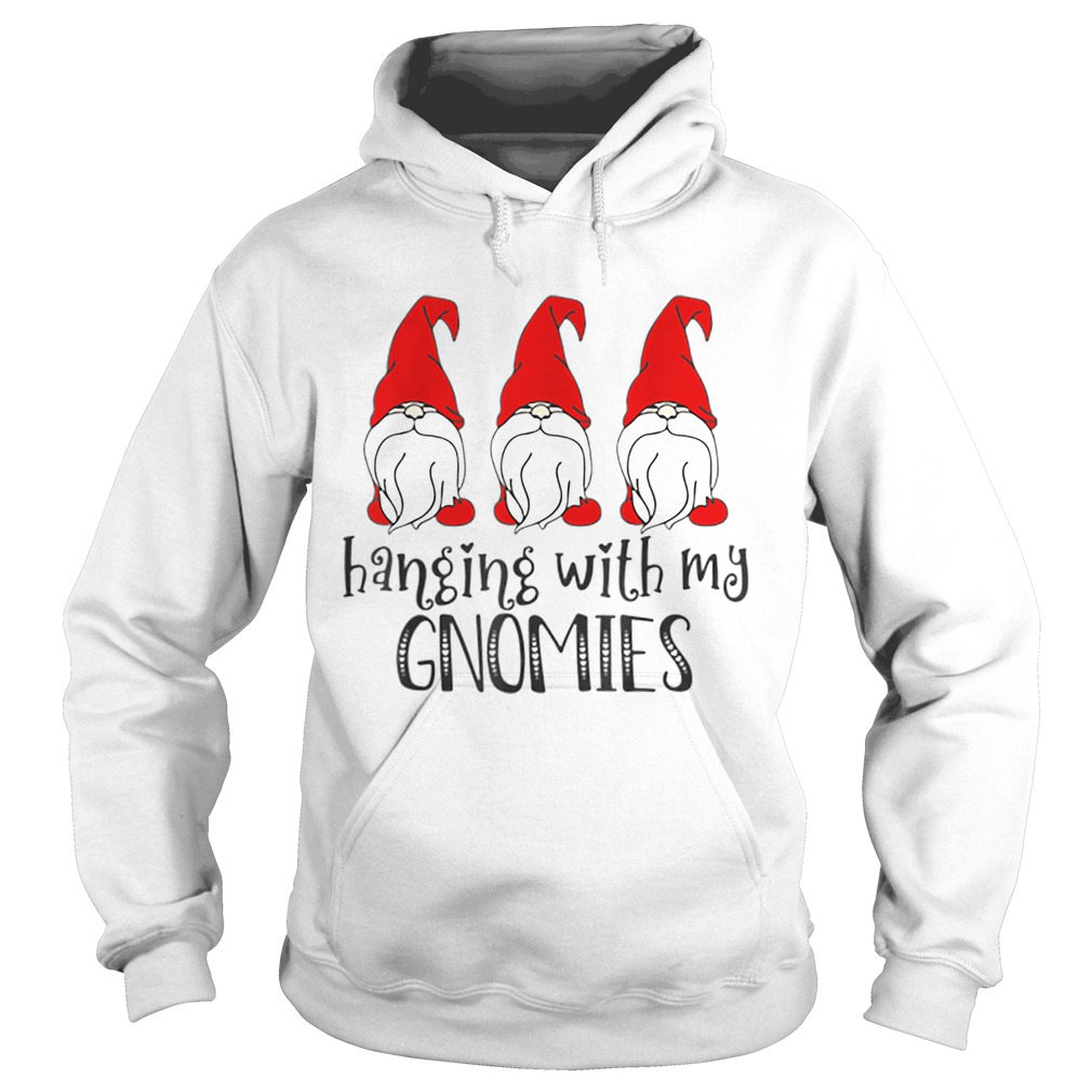 Hanging With My Gnomes Hoodie