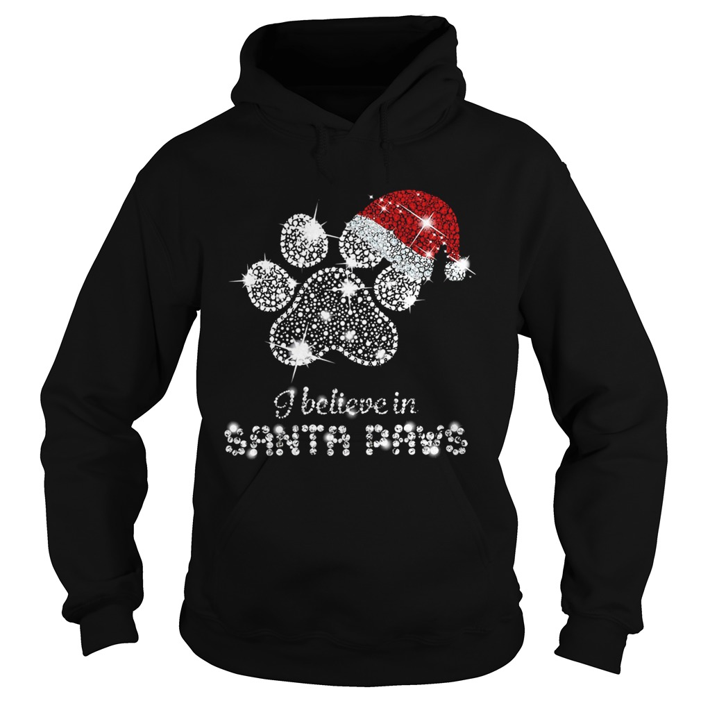 I Believe In Santa Paws Diamond Christmas Hoodie