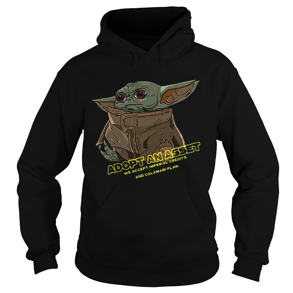 aby Yoda Adopt An Asset We Accept Imperial Credits Hoodie