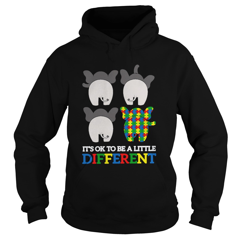 Autism Elephant Its Ok To Be A Little Different Hoodie