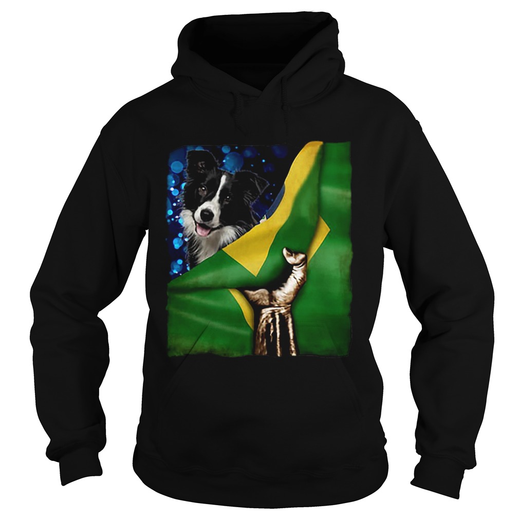 Bandeira do Brasil Border Collie Hoodie