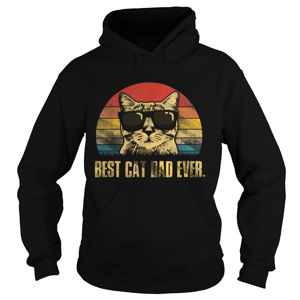 Best Cat Dad Ever Fathers Day Vintage Cat Lovers Hoodie