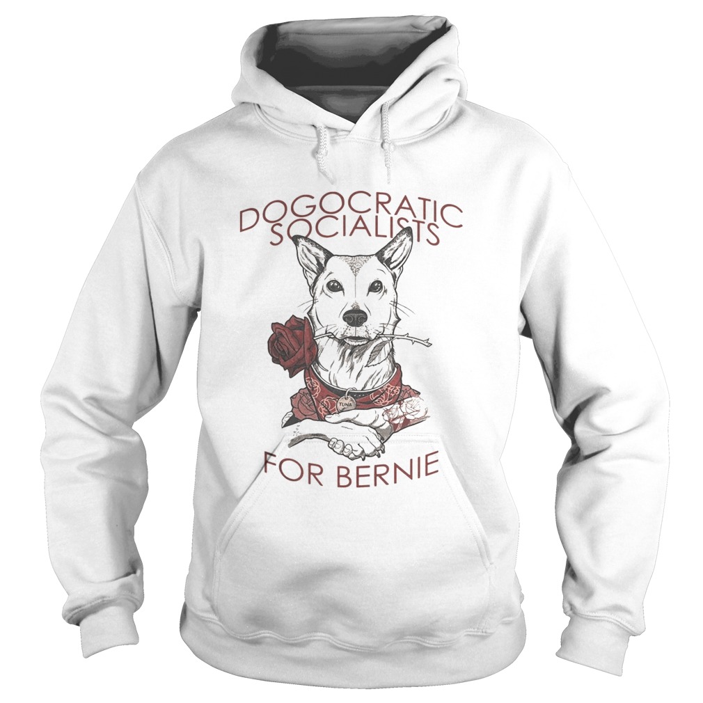 Chris Stedman Dogocratic Socialists For Bernie Hoodie