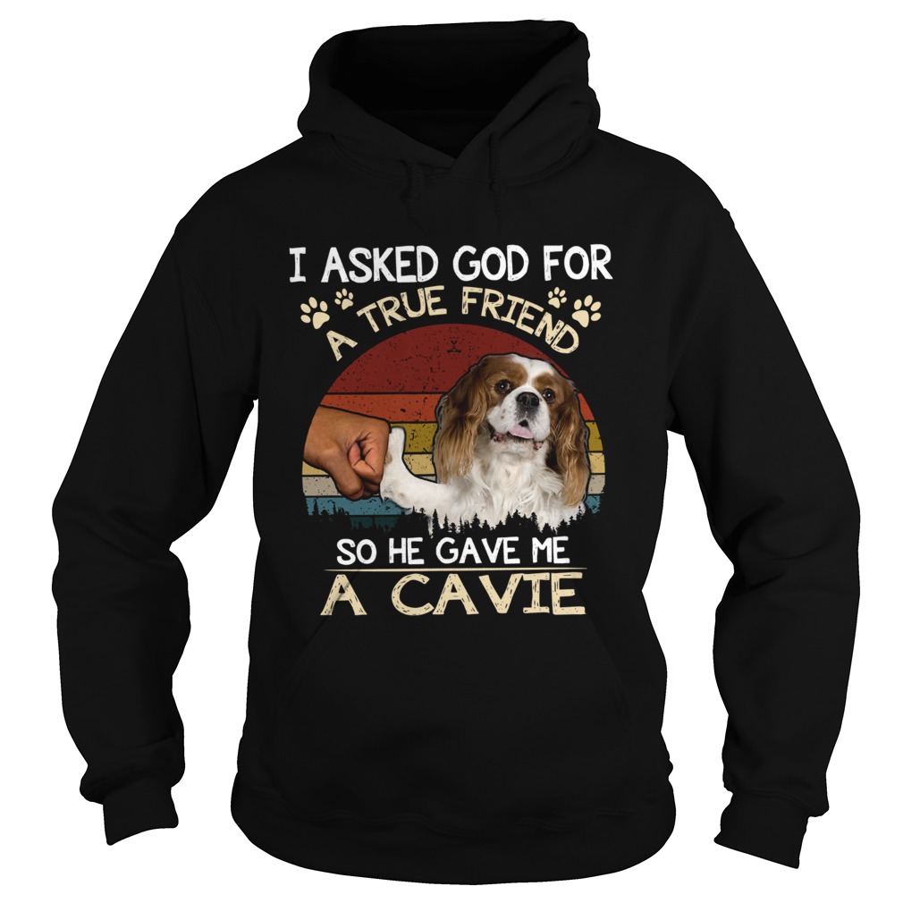 I Asked God For A True Friend So He Gave Me A Cavie dog Vintage Hoodie