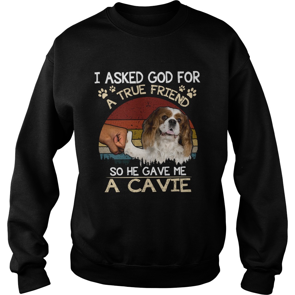 I Asked God For A True Friend So He Gave Me A Cavie dog Vintage Sweatshirt