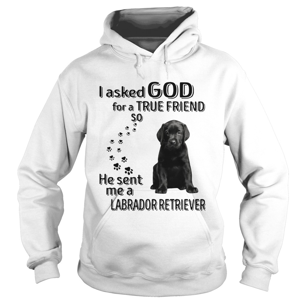 I Asked God For A True Friend So He Sent Me A Labrador Retriever Hoodie