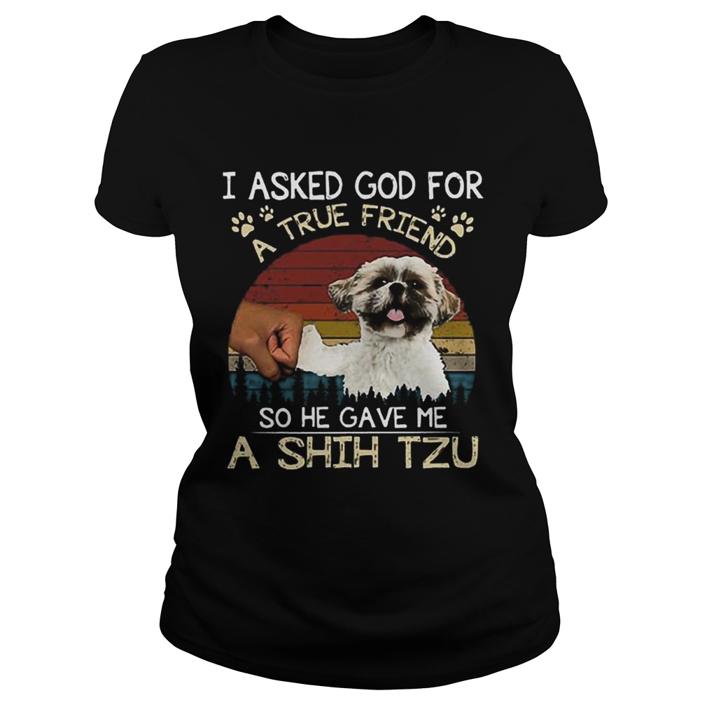 I ask God for a true friend so he gave me a Shih Tzu vintage Classic Ladies