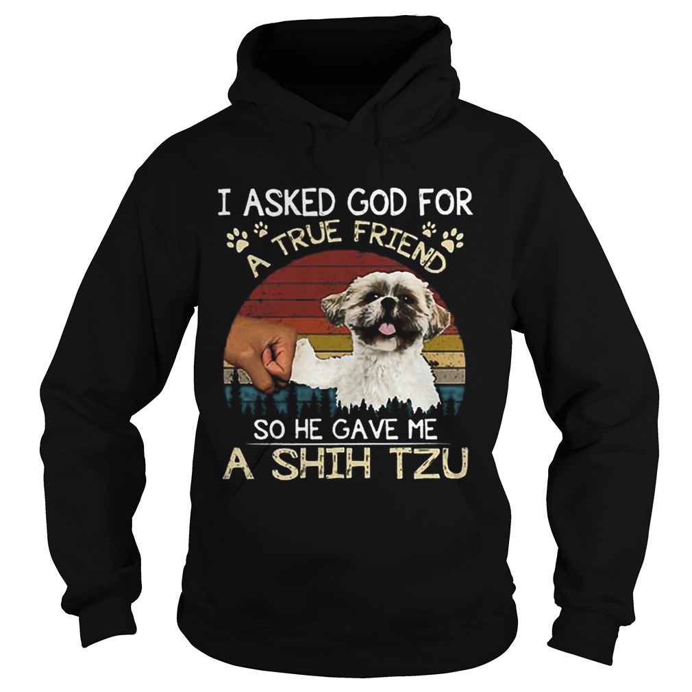 I ask God for a true friend so he gave me a Shih Tzu vintage Hoodie