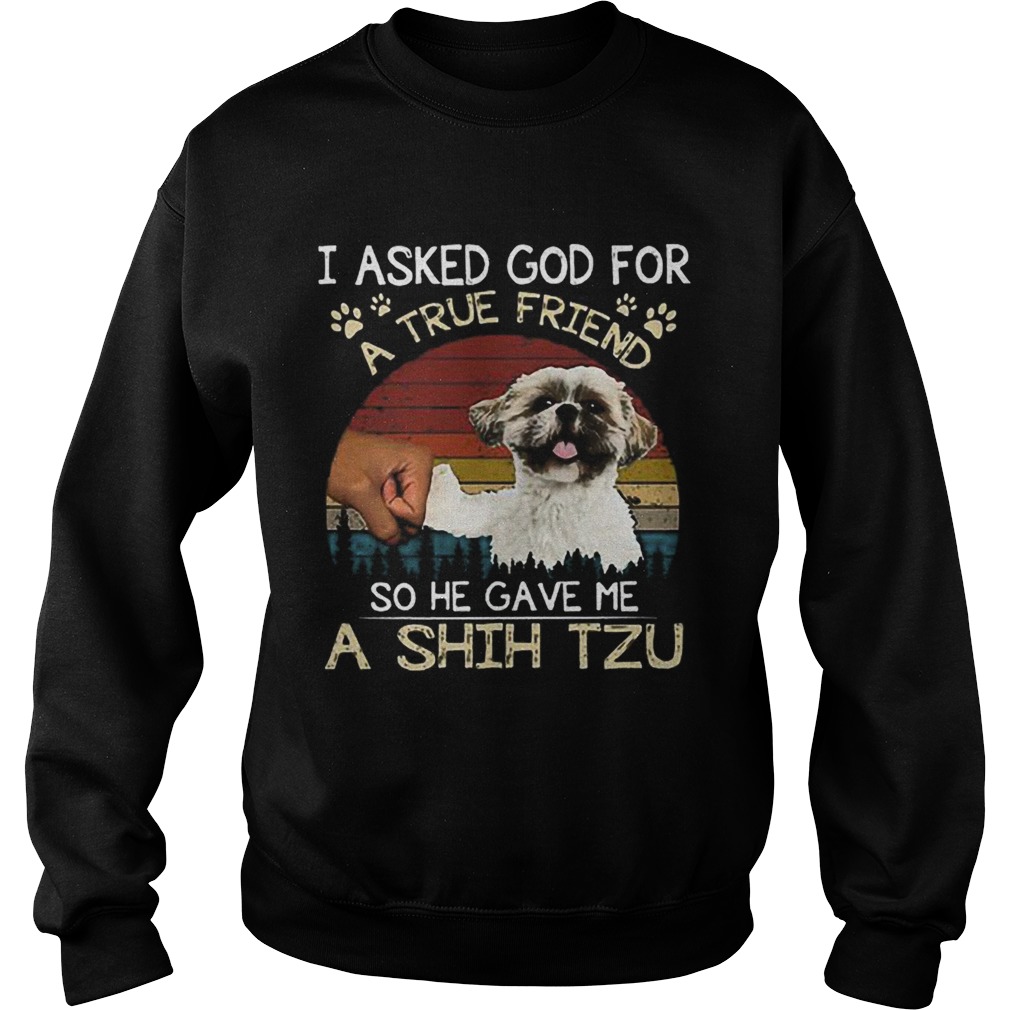 I ask God for a true friend so he gave me a Shih Tzu vintage Sweatshirt