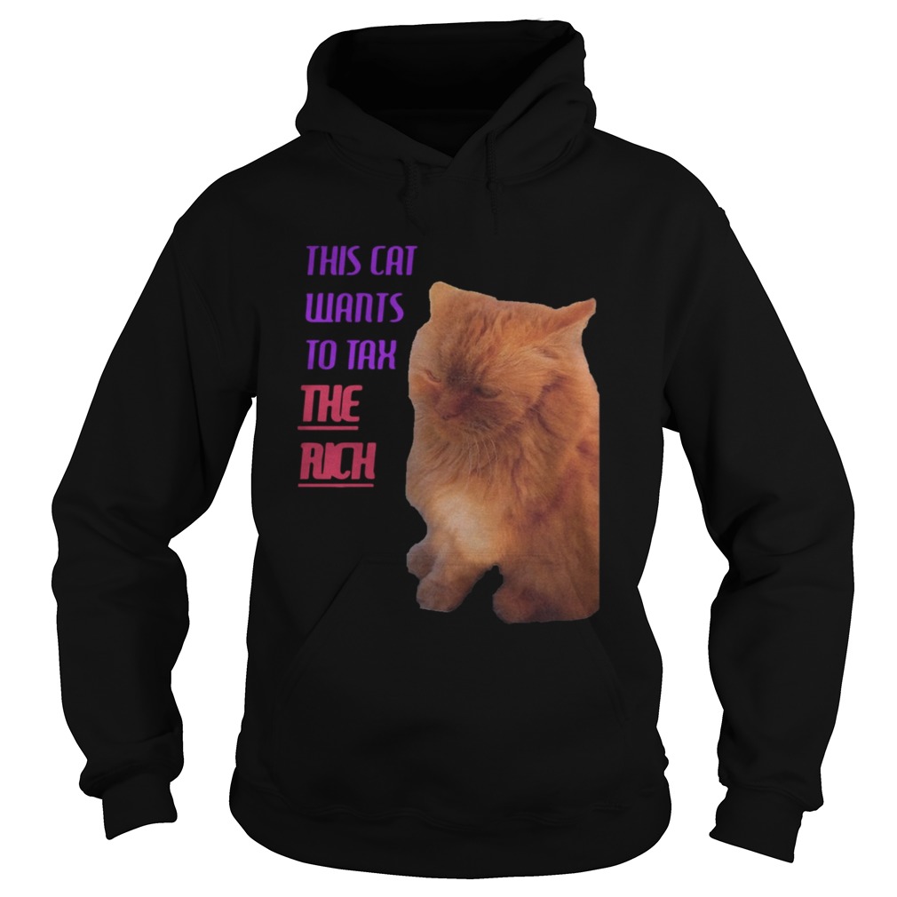 This Cat Wants To Tax The Rich Hoodie