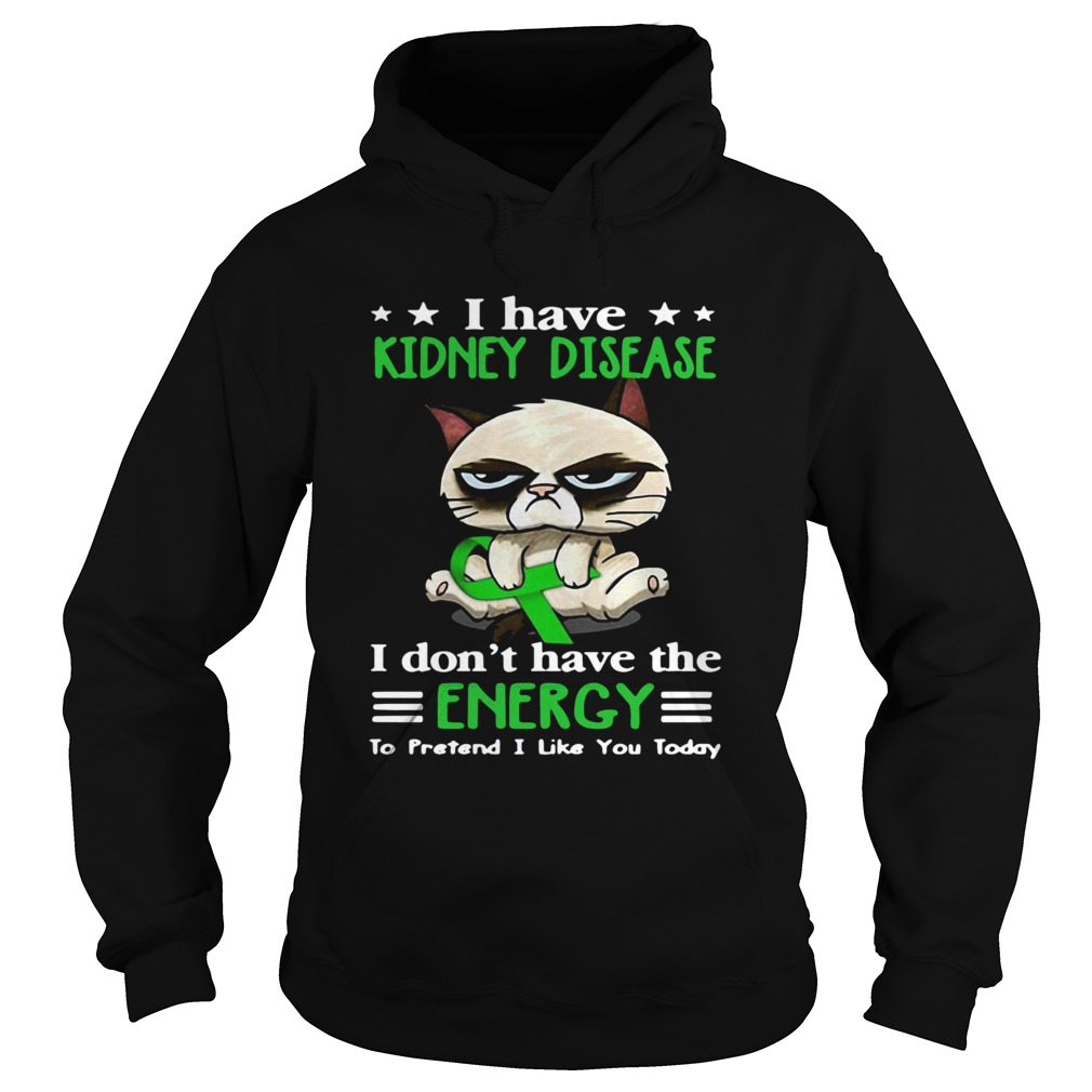 Grumpy Cat Hug Cancer Awareness I Have Kidney Disease Hoodie