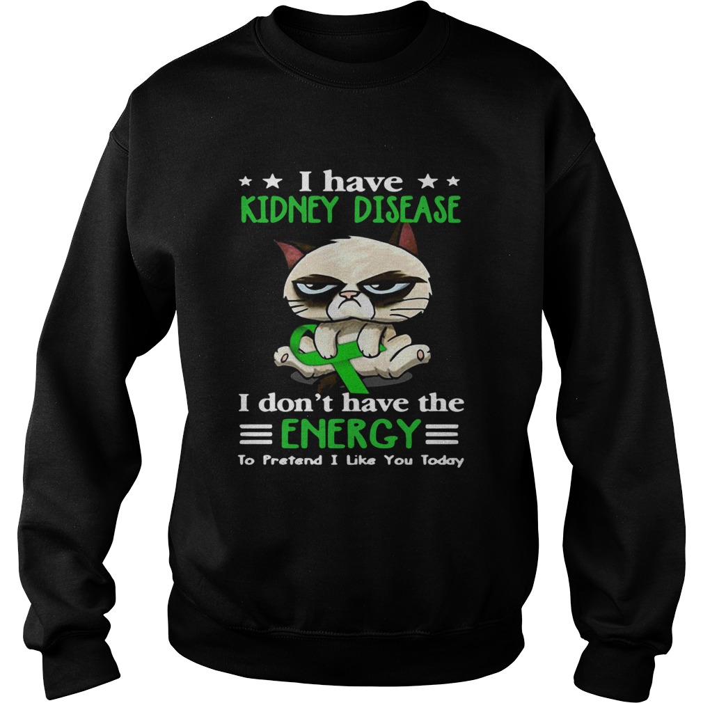 Grumpy Cat Hug Cancer Awareness I Have Kidney Disease Sweatshirt