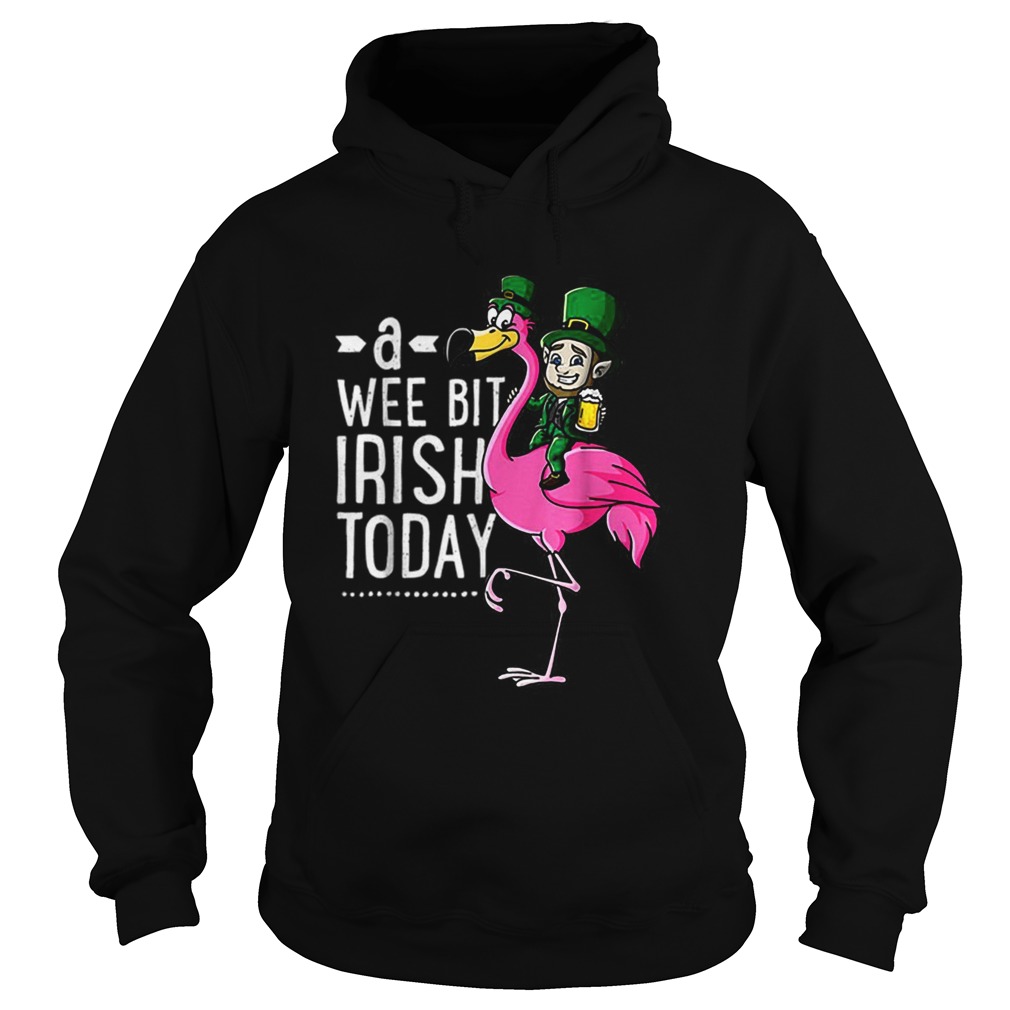 Nice A Wee Bit Irish Today Flamingo Leprechaun St Patricks Day Hoodie