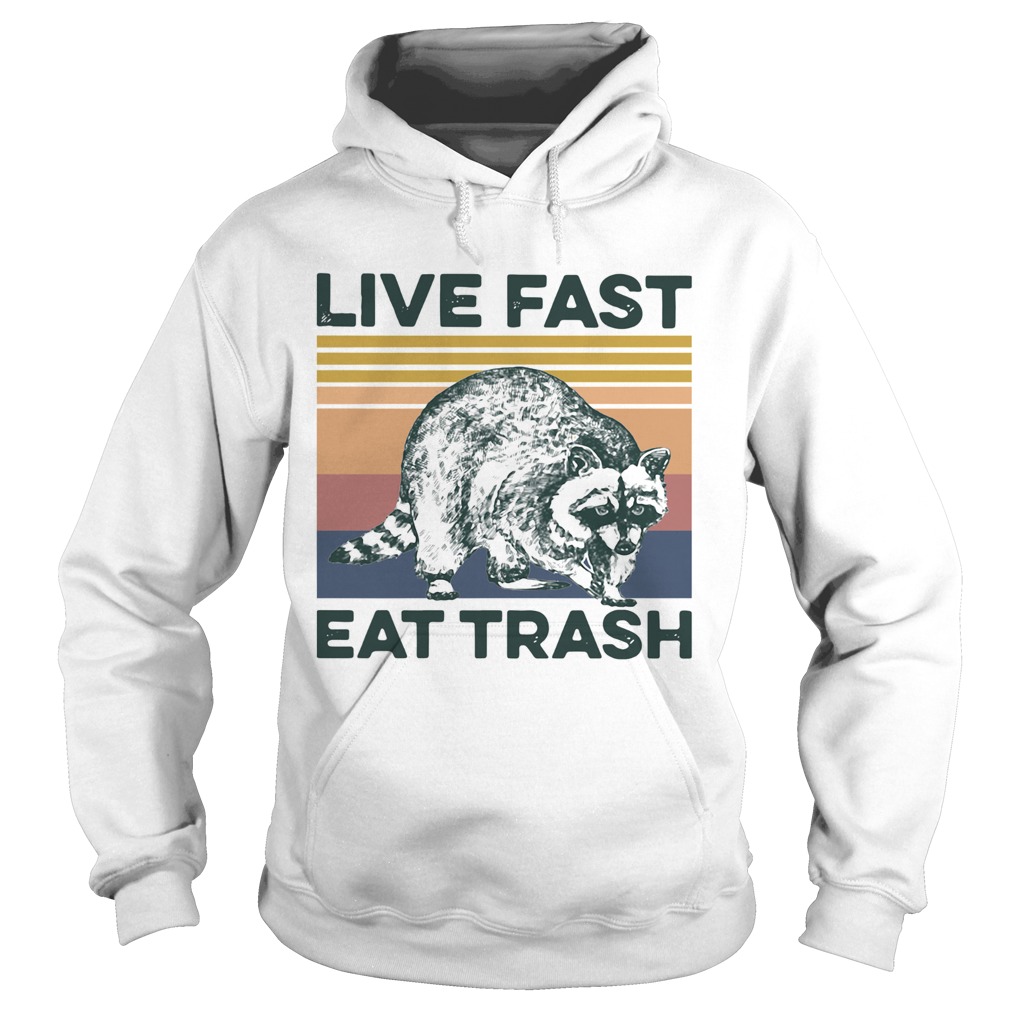 Raccoon Life Fast Eat Trash Vintage Hoodie