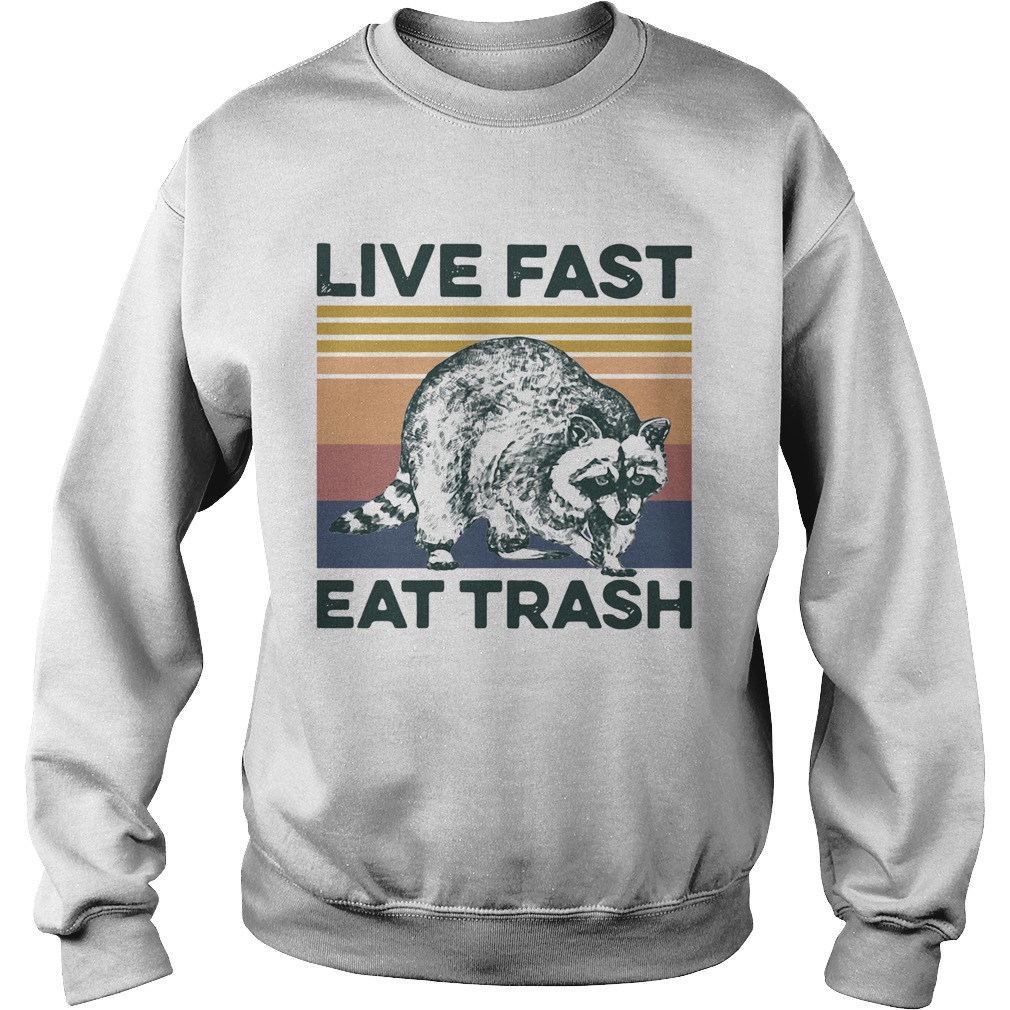 Raccoon Life Fast Eat Trash Vintage Sweatshirt