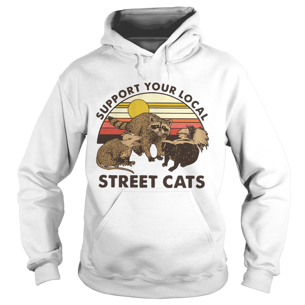 Racoon Support Your Local Street Cats Vintage Hoodie