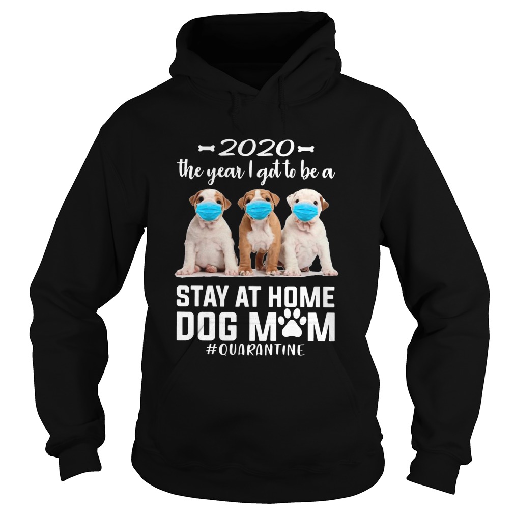 2020 The Year I Got To Be A Stay At Home PitBull Dog Mom Quarantine Hoodie