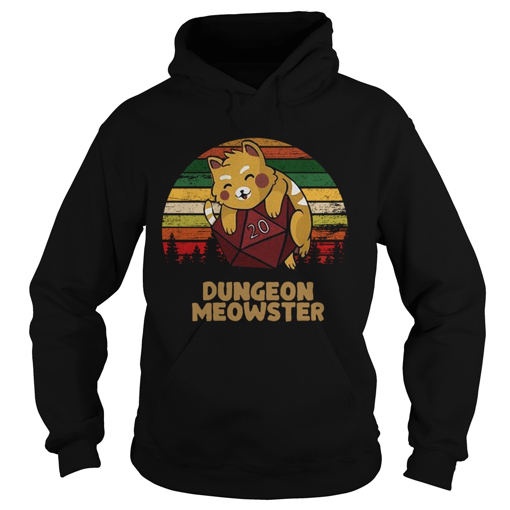 Dungeon Meowster Dnd Tabletop Gamer Cat Hoodie