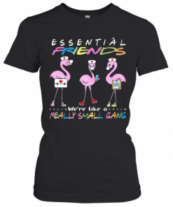 Flamingo We'Re More Than Just Essential Friends We'Re Like A Really Small Gang T-Shirt Classic Women's T-shirt