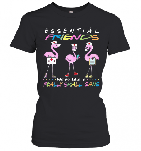 Flamingo We'Re More Than Just Essential Friends We'Re Like A Really Small Gang T-Shirt Classic Women's T-shirt