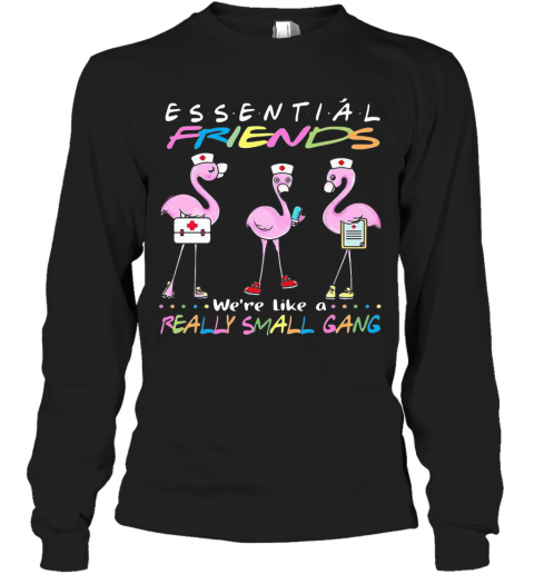 Flamingo We'Re More Than Just Essential Friends We'Re Like A Really Small Gang T-Shirt Long Sleeved T-shirt 