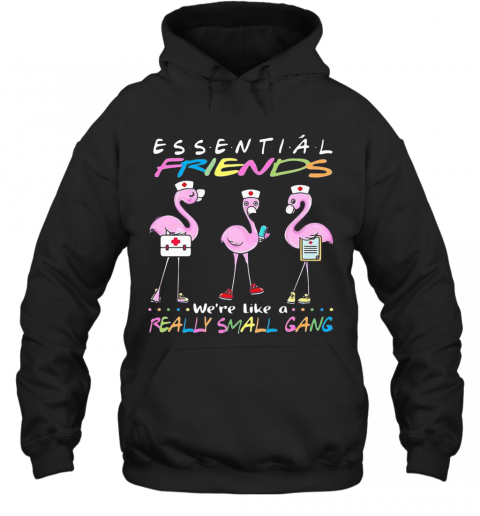 Flamingo We'Re More Than Just Essential Friends We'Re Like A Really Small Gang T-Shirt Unisex Hoodie