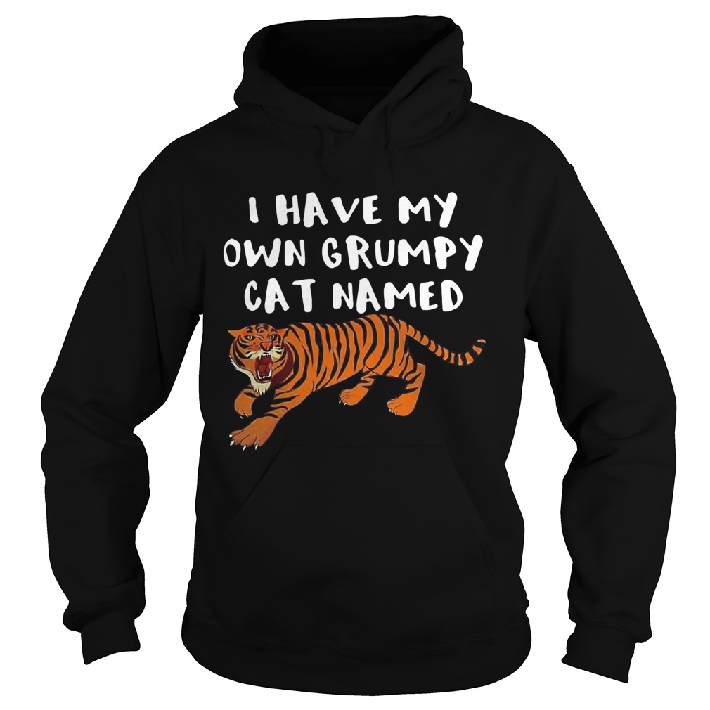 I Have My Own Grumpy Cat Named Tiger Hoodie