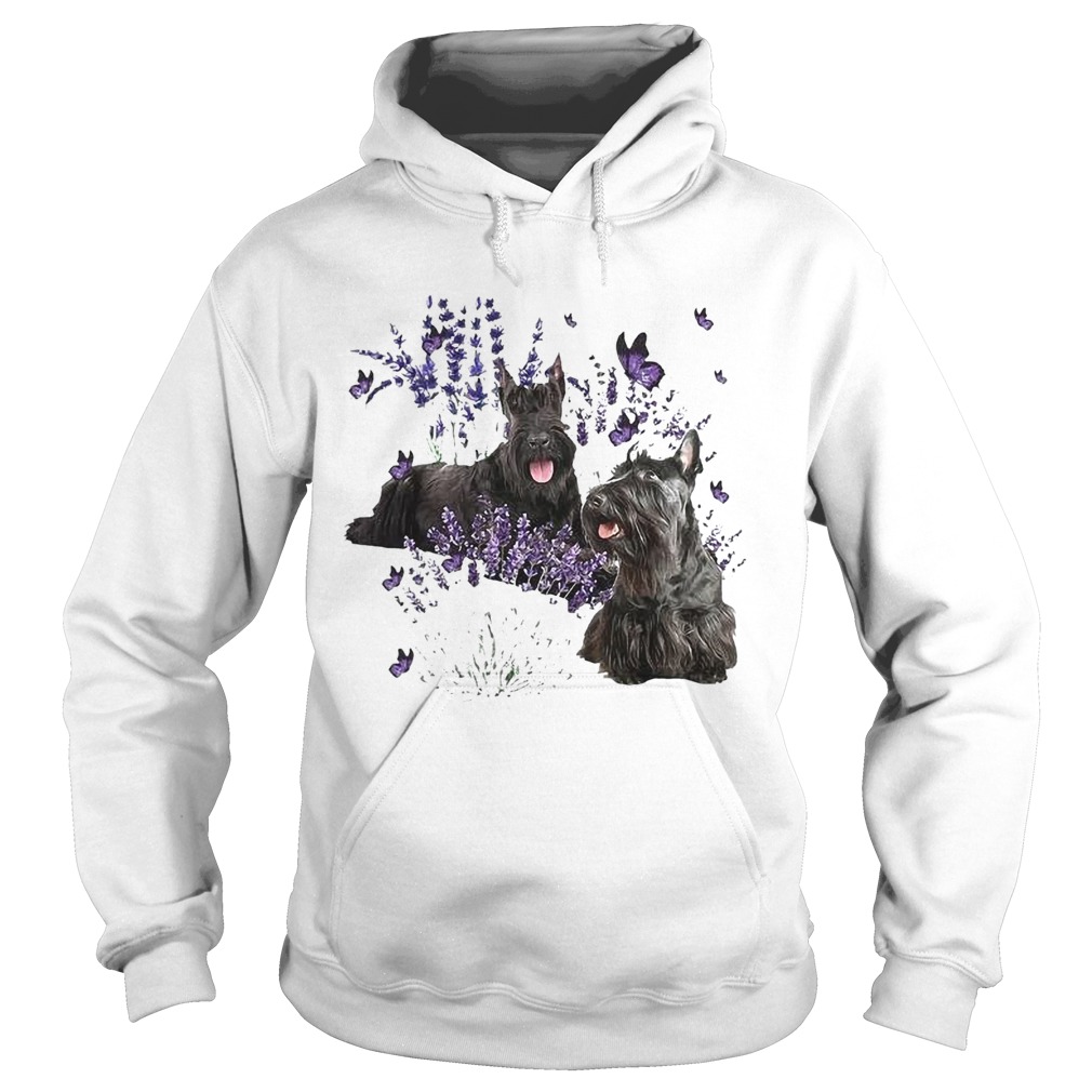 Scottish Terrier And Lavender Hoodie