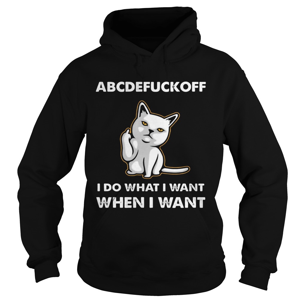 Cat Abcdefuckoff I Do What I Want When I Want Hoodie