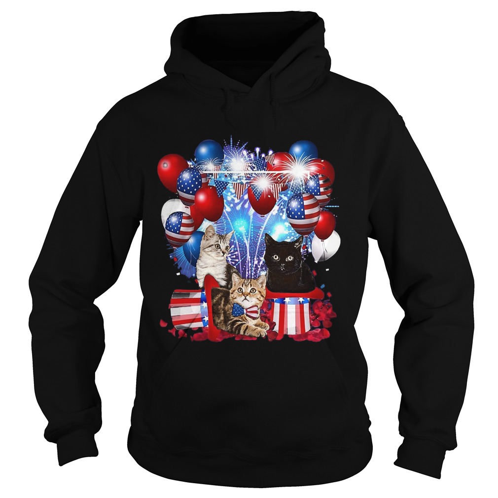 Cats Balloons Fireworks Independence Day 4th Of July Hoodie