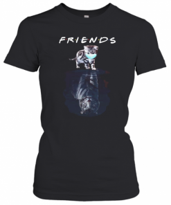 Cats Water Reflection Tigers Friends Quarantined T-Shirt Classic Women's T-shirt