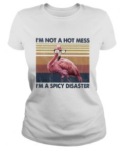 Flamingo Im not a hot mess Im a spicy disaster vintage  Classic Ladies