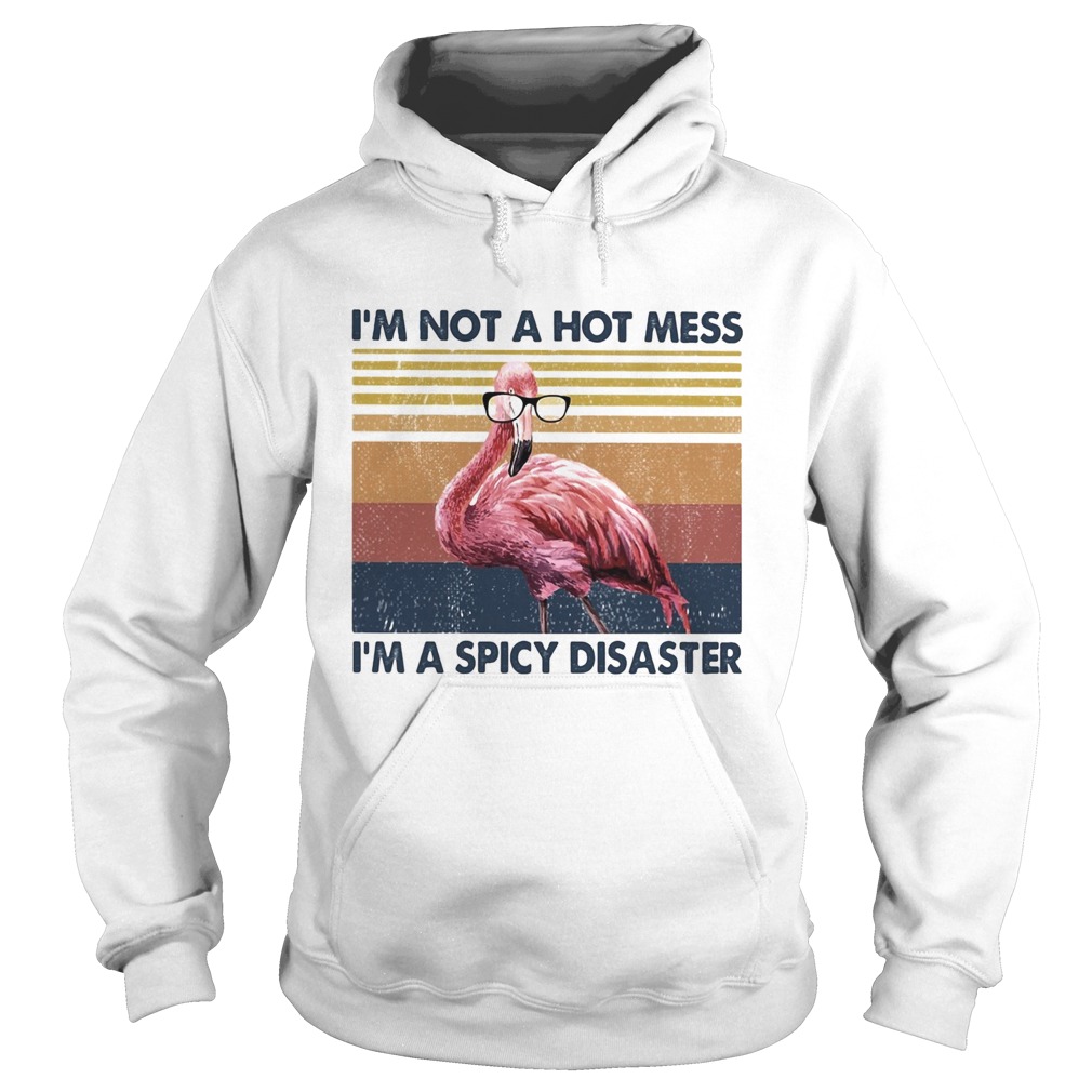 Flamingo Im not a hot mess Im a spicy disaster vintage Hoodie