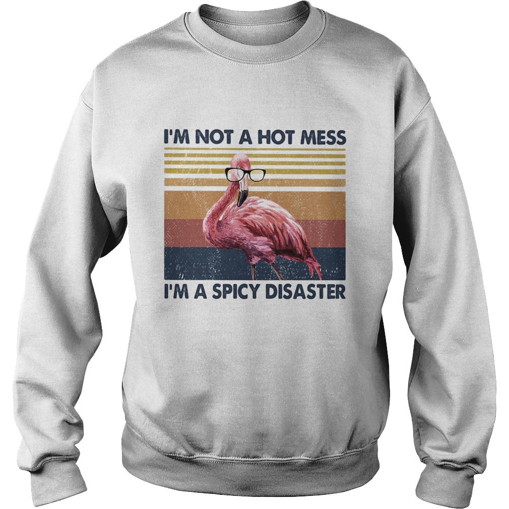 Flamingo Im not a hot mess Im a spicy disaster vintage Sweatshirt