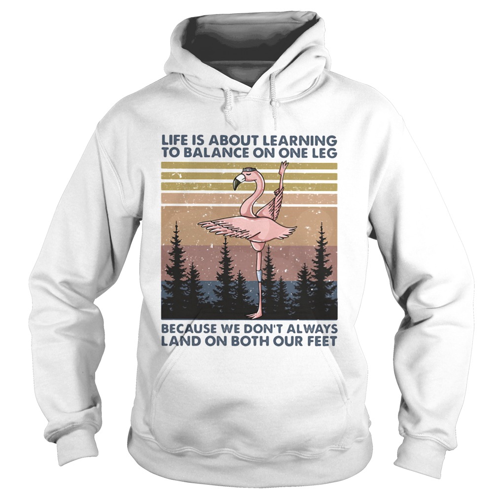 Flamingo life is about learning to balance on the leg because we dont always land on both our feet Hoodie