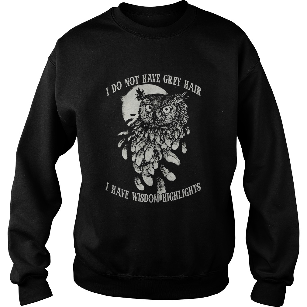 Hot Owl I do not have grey hair I have wisdom highlights Sweatshirt