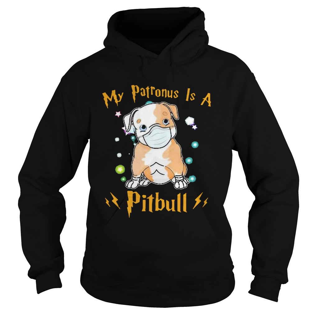 My Patronus Is A Pitbull Mask Coronavirus Hoodie