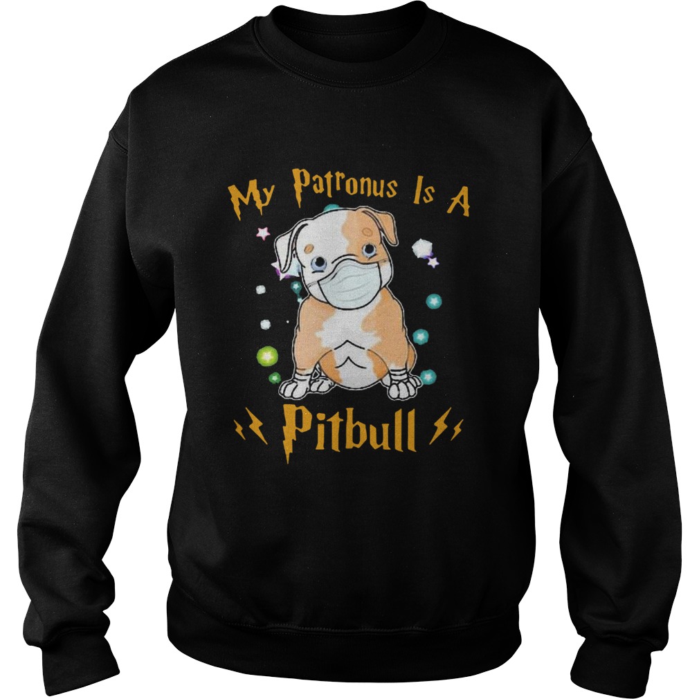 My Patronus Is A Pitbull Mask Coronavirus Sweatshirt