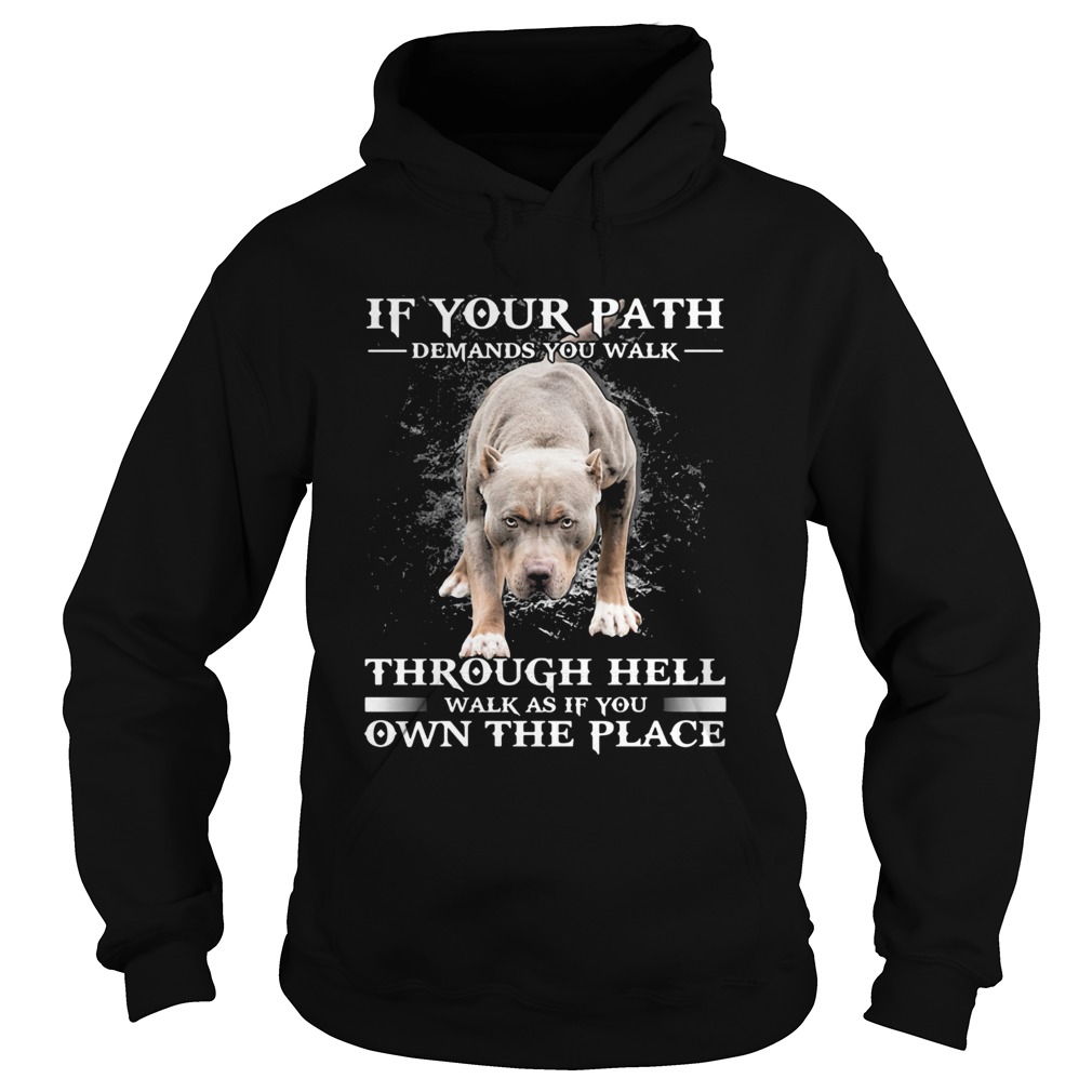 Pitbull if your path demands you walk through hell walk as if you own the place  Hoodie