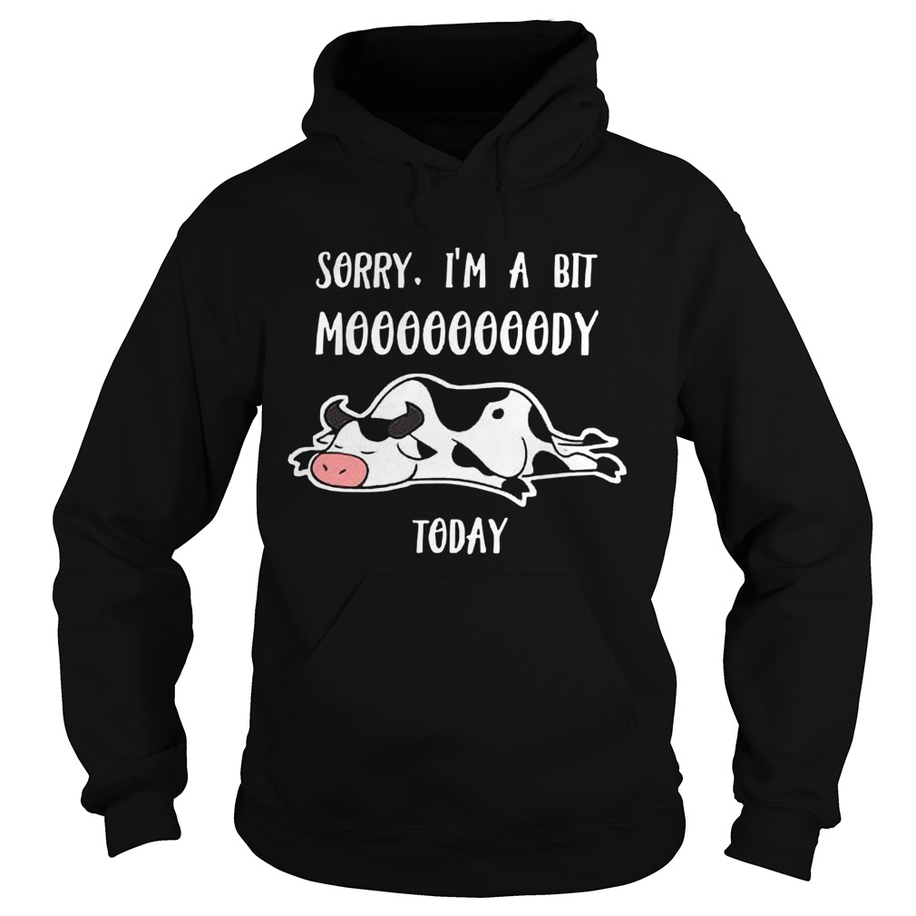 Sorry Im a bit Moody Today Hoodie