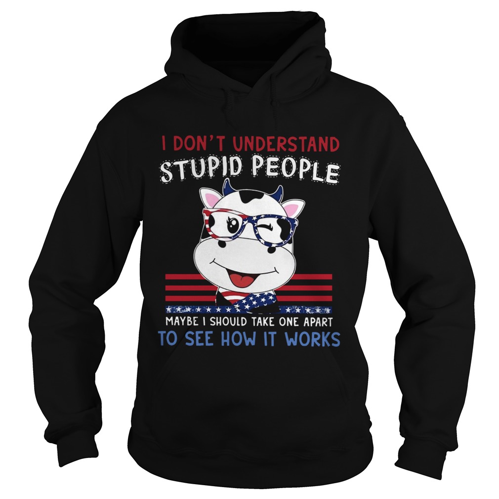 Dragon I Dont Understand Stupid People Maybe I Should Take One Apart To See How It Works  Hoodie