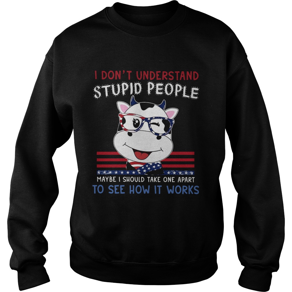 Dragon I Dont Understand Stupid People Maybe I Should Take One Apart To See How It Works  Sweatshirt