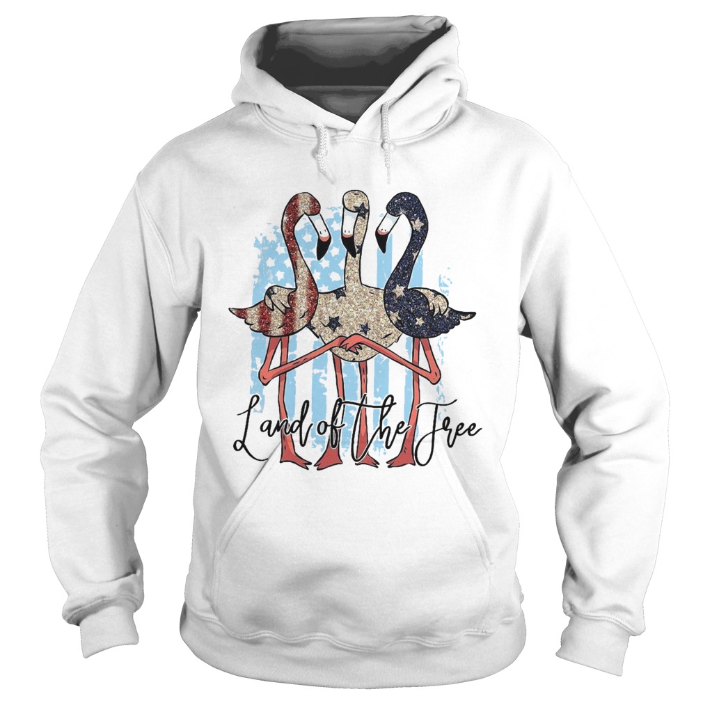 Flamingos Land Of The Tree Hoodie